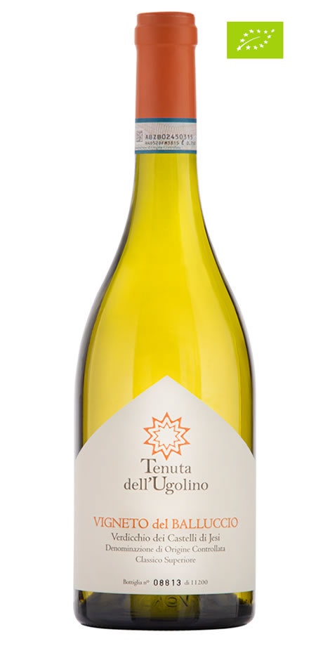 vigneto-del-balluccio-tenuta-ugolino