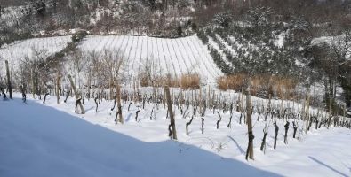 Neve 2018