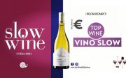 &quot;Top wine Vino slow&quot; e premio &quot;Moneta&quot; per la nostra cantina!