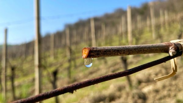 Visit Tenuta dell&#039;Ugolino