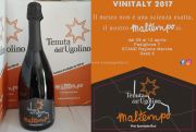 Ready for Vinitaly 2017