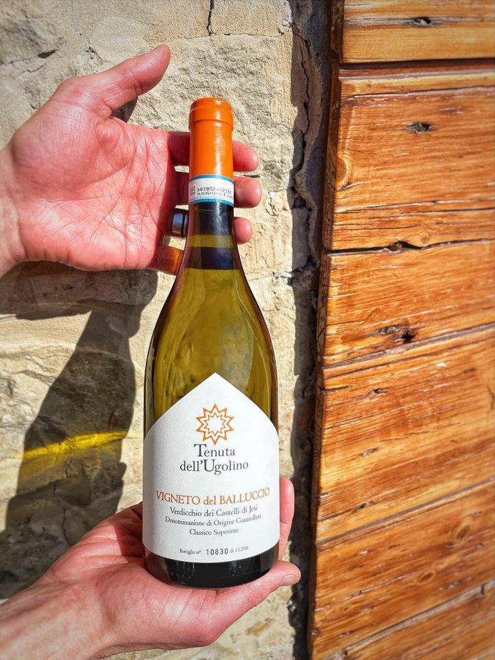 New vintage with restyling for the &quot;Vigneto del Balluccio&quot;