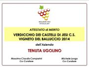 Vigneto del Balluccio 2014: Certificate of Merit of the Guide &quot;Best Italian Wines 2017&quot;