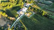 La Tenuta dell&#039;Ugolino